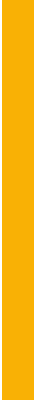 yellow vertical bar